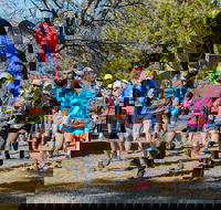 Duval Dam Buster Trail Run - Taree Accommodation