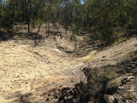 Gemorama - Taree Accommodation 1