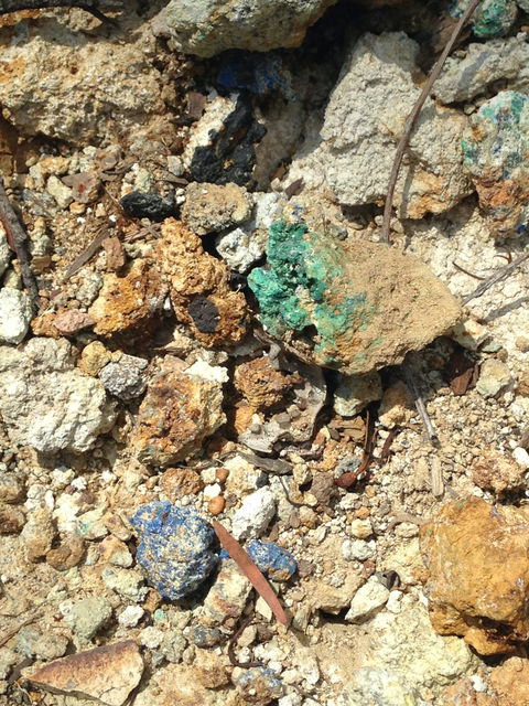 Gemorama - Taree Accommodation 2