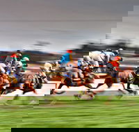 Grafton July Racing Carnival - Taree Accommodation