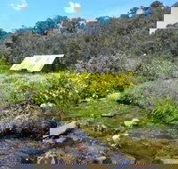 Hedonistic Hiking's Falls Creek to Hotham - Taree Accommodation