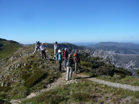 Hedonistic Hiking's Falls Creek To Hotham - Taree Accommodation 1