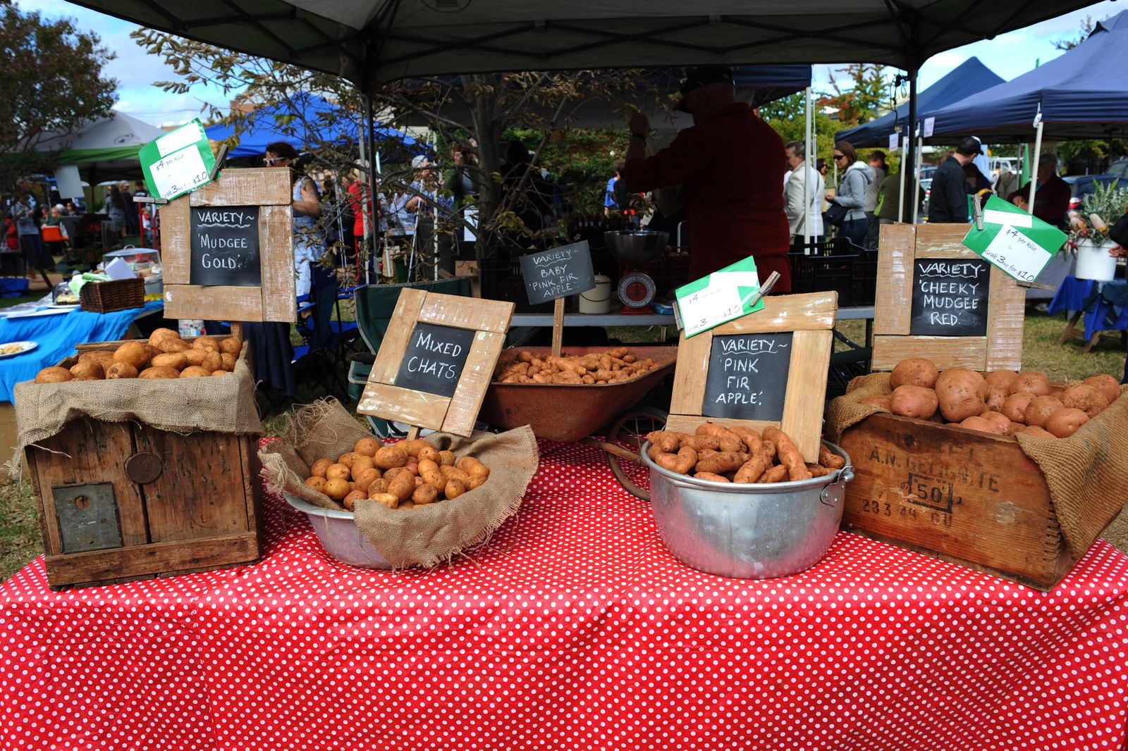 Mudgee NSW Taree Accommodation