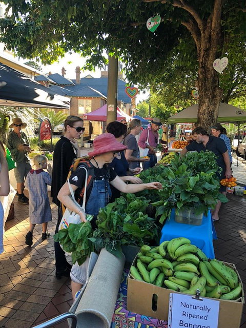 Lismore Produce Markets - Taree Accommodation 1
