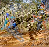 NSW State Downhill Mountain Bike Championships - Taree Accommodation