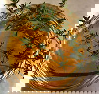 Online live streaming class DIY Skincare Products - Taree Accommodation