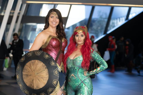 Oz Comic-Con Sydney - Taree Accommodation 1