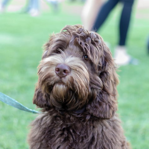 Ripley Markets - Taree Accommodation 1