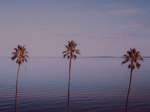 Sunset Streaming Live DJ Streams - Taree Accommodation 0
