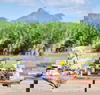 Taste Tweed - Taree Accommodation