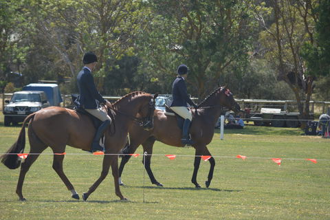 Yankalilla Show - Taree Accommodation 2