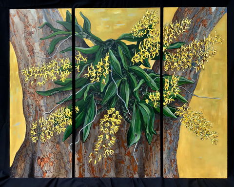 A Still Life - Solo Exhibition  Karen Sedaitis - Taree Accommodation 1