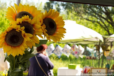 Blackville Arts And Market Day - Taree Accommodation 0