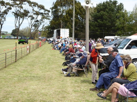 Dean Sheepdog Trials - Old Sniff Classic - Taree Accommodation 1