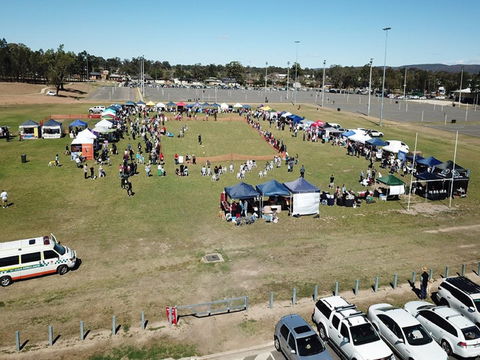 Dogs In The Park Swansea - Taree Accommodation 0
