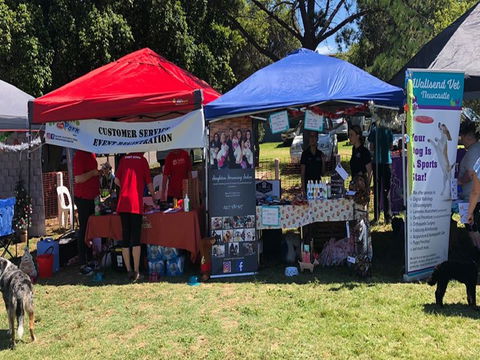 Dogs In The Park Swansea - Taree Accommodation 1