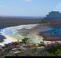 Head to Head Walk Run - Taree Accommodation