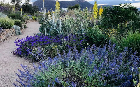 Highfield Gardens - Taree Accommodation 0