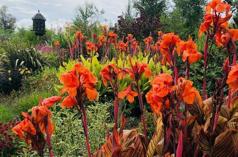 Highfield Gardens - Taree Accommodation 1