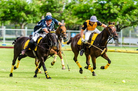 Land Rover Polo  In The City - Taree Accommodation 1