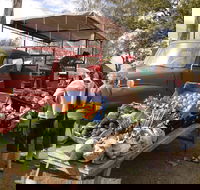 Murphys Creek Markets - Taree Accommodation