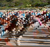 Port Stephens Triathlon Festival - Taree Accommodation