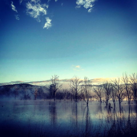 Scenic Rim Ultra - Taree Accommodation 0