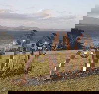 Sculpture Bermagui - Taree Accommodation