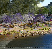 Shoalhaven River Festival - Taree Accommodation