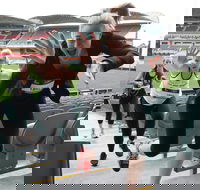 Stadium Stomp Adelaide Oval - Postponed - Taree Accommodation