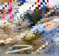 Sydney Royal Easter Show - Taree Accommodation