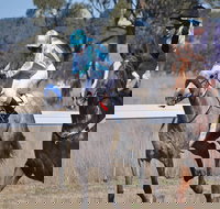 Wean Picnic Races - Taree Accommodation