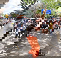 Australian National Busking Championships - Taree Accommodation