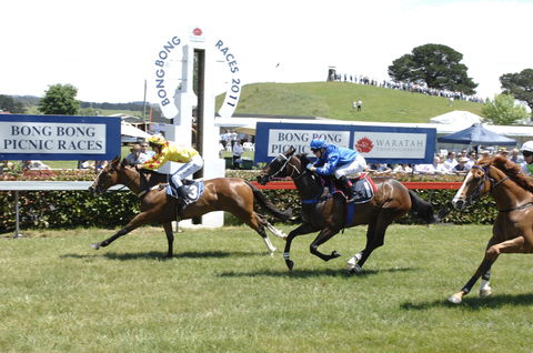 Bong Bong Picnic Races - Taree Accommodation 0