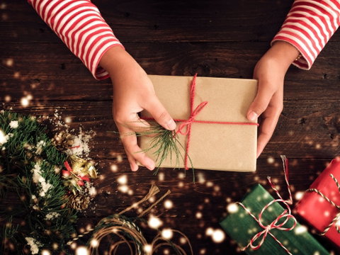 Central Coast Christmas Market - Taree Accommodation 0