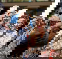 CinefestOZ Film Festival - Taree Accommodation