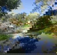 Conservation Volunteers Australia Townsville - Creekwatch - Taree Accommodation