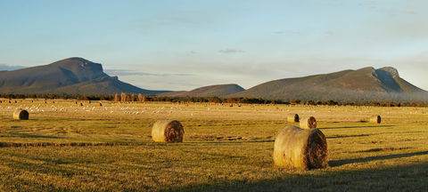 Digital Innovation & Smart Agriculture 2021 Festival - Taree Accommodation 1