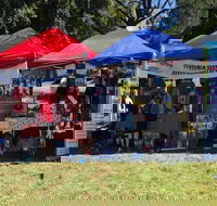Dogs in the Park Shell Harbour - Taree Accommodation