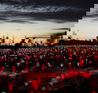 Field of Light Uluru - Taree Accommodation