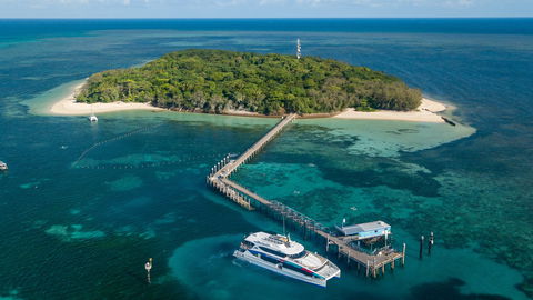 Great Adventures Green Island Ocean Swim - Taree Accommodation 0
