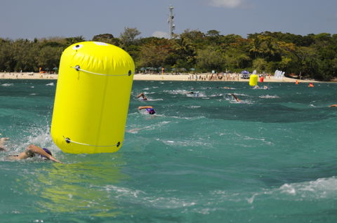 Great Adventures Green Island Ocean Swim - Taree Accommodation 1