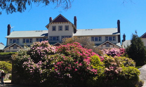 Hedonistic Hiking's Mount Buffalo Hike And Picnic - Taree Accommodation 1