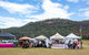 Horses Birthday Festival - thumb 2