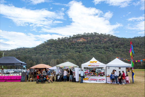 Horses Birthday Festival - Taree Accommodation 2
