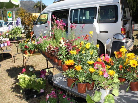 Johns River Country Markets - Taree Accommodation 0