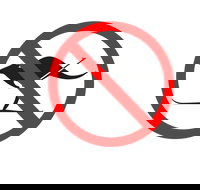 Kangaroo Hoppet - Taree Accommodation