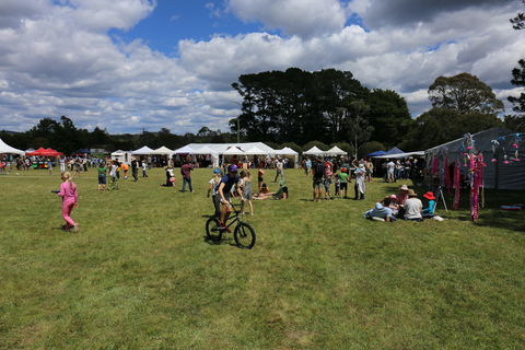 Majors Creek Festival - Taree Accommodation 0