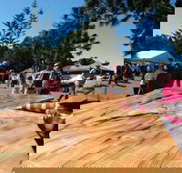 Maleny Wood Expo From Seed to Fine Furniture - Taree Accommodation