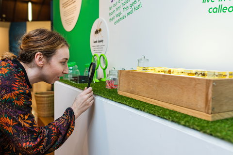 Minibeasts - Taree Accommodation 0